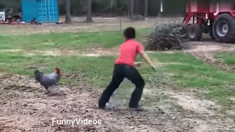 funny videos scary animal. TRY NOT TO LAUGH,