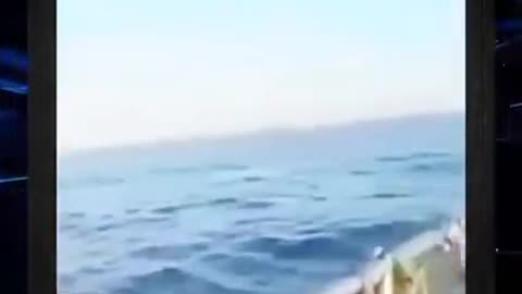 THEY LIVE 👀 IN THE OCEAN
