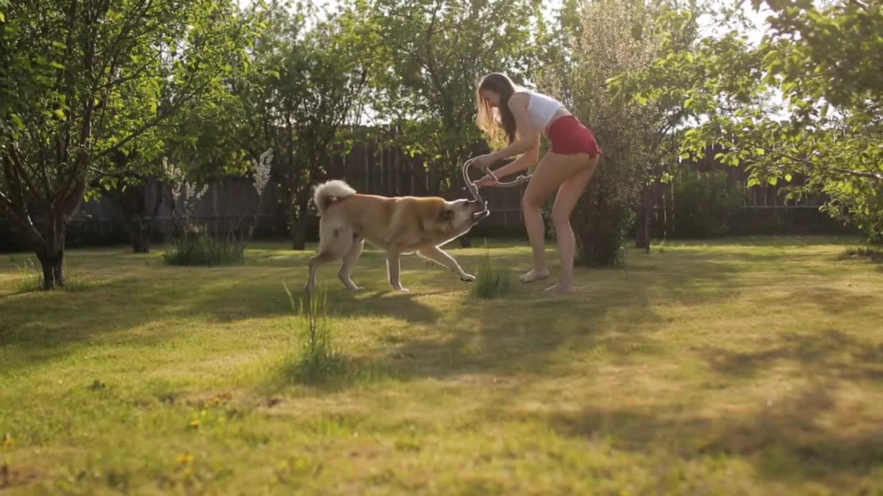 Adorable young woman playing with dog in the garden at sunset time