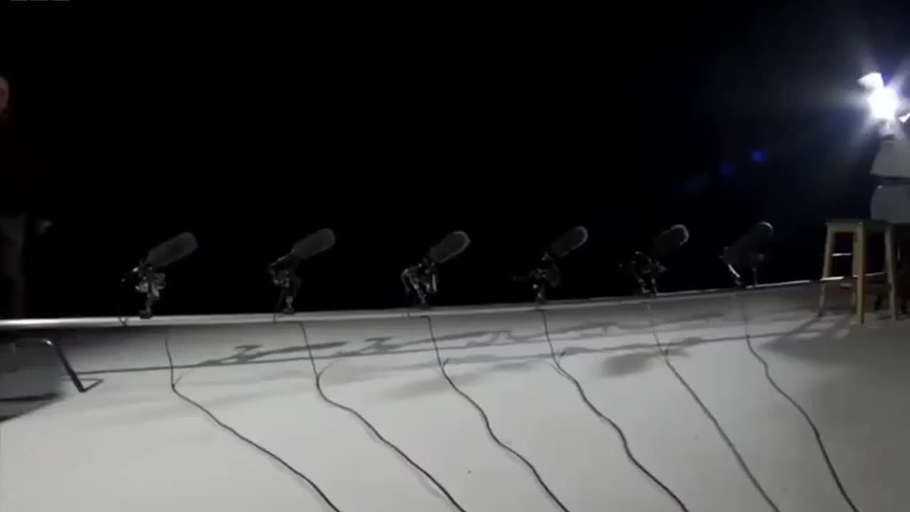 Owls make no sound when they fly