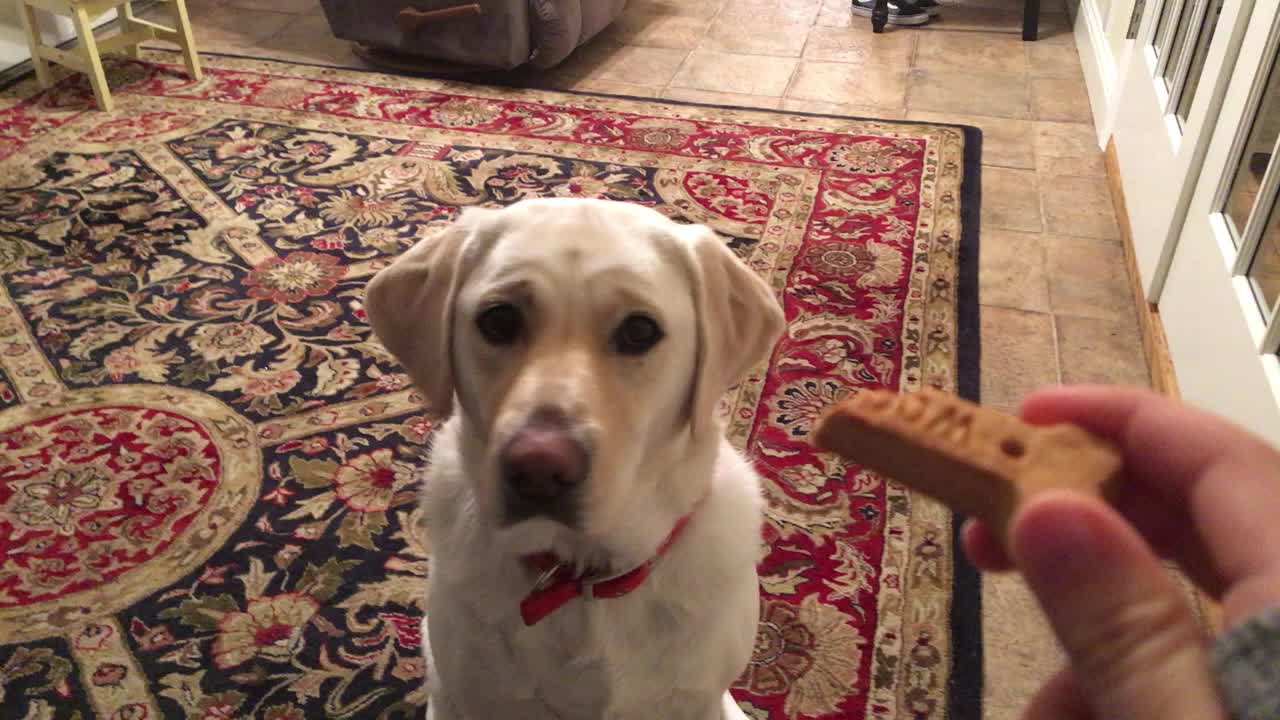 Treats?For me?
