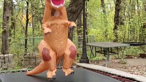 T Rex on a trampoline.