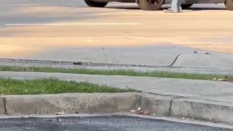 Road Rager Pulls Gun