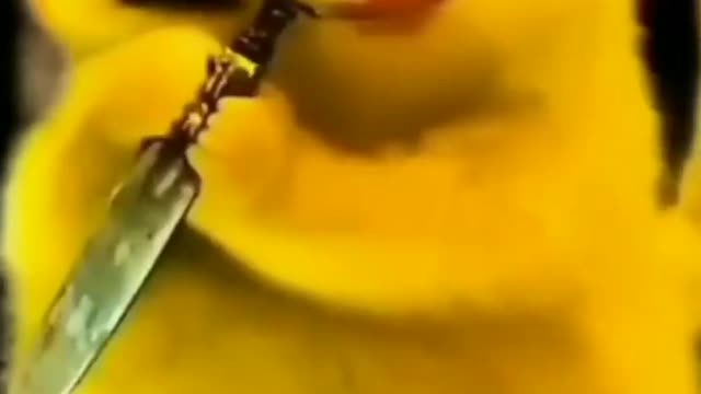 Pokemon new videos