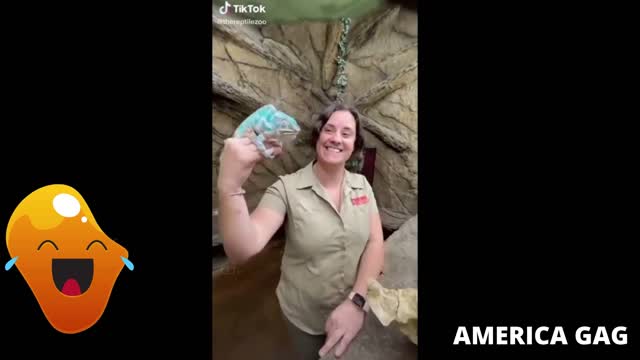 THE FUNNIEST 60 SECONDS VIDEO I WATCHED