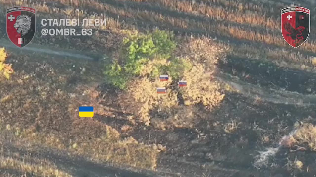 Ukrainian Drones Toying with Russian Infantry Group