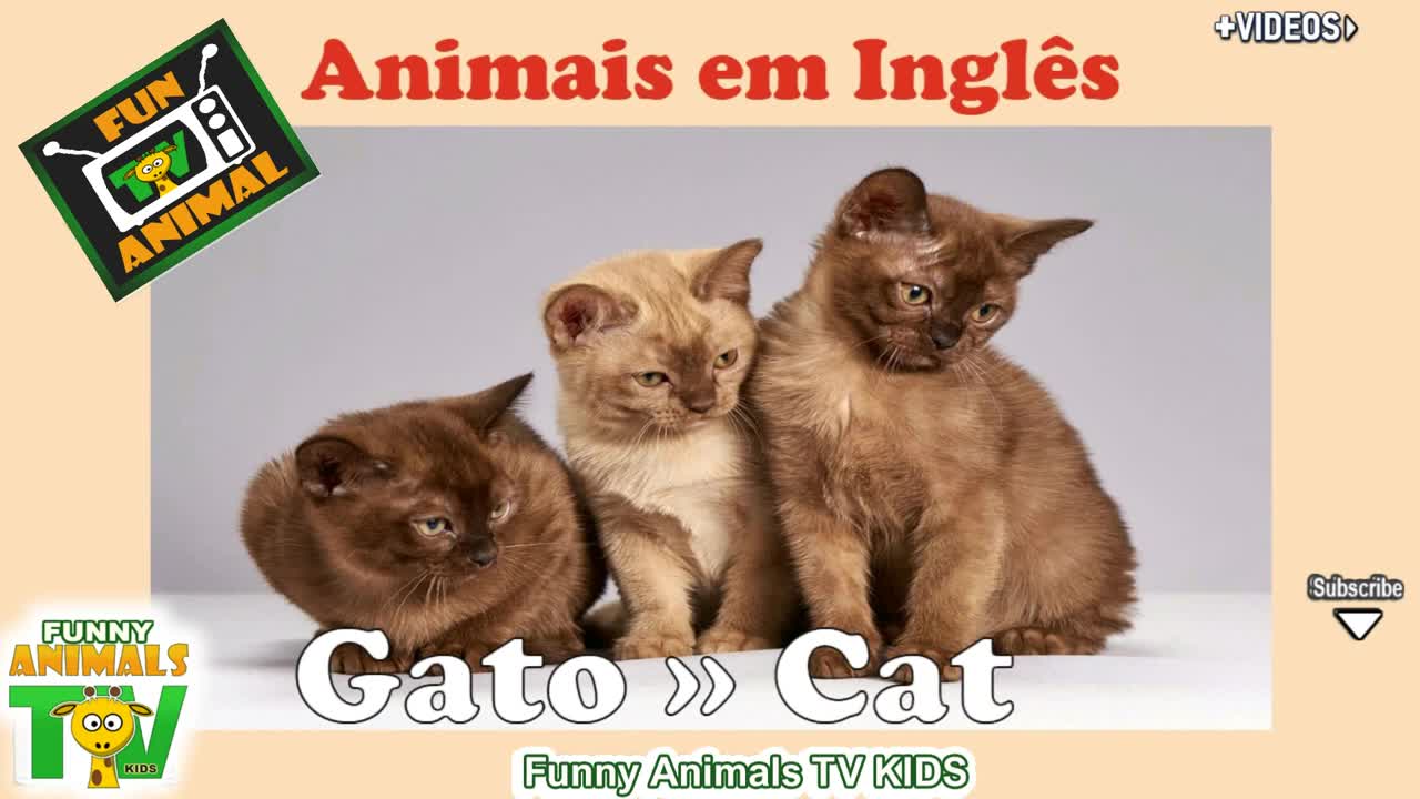 OS ANIMAIS EM INGLÊS - THE ANIMALS IN ENGLISH