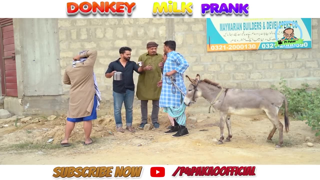 Donkey Milk