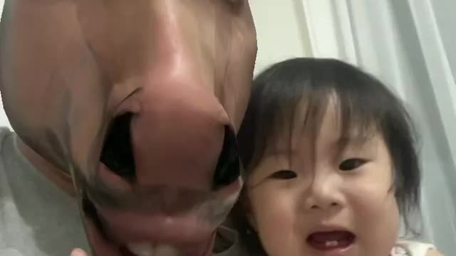Try not to laugh