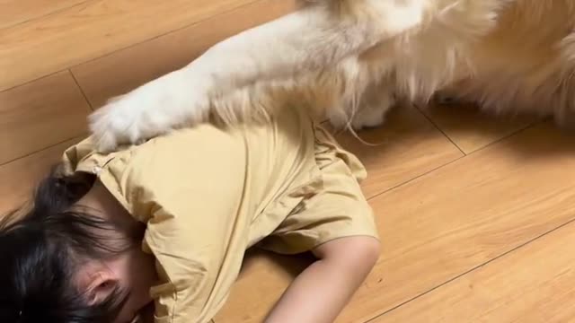 Dog comforts crying little girl