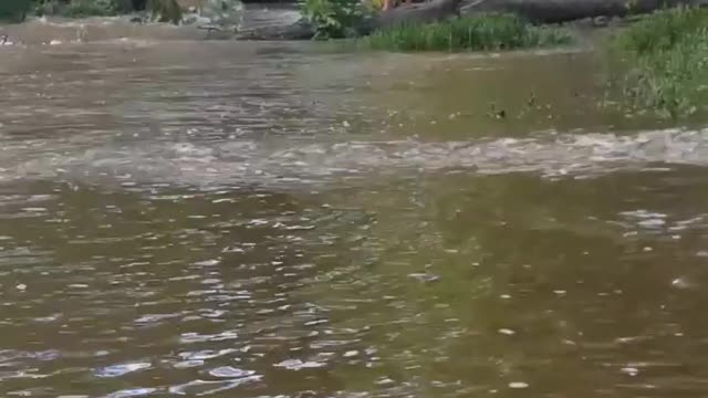 “When you say go left and she,