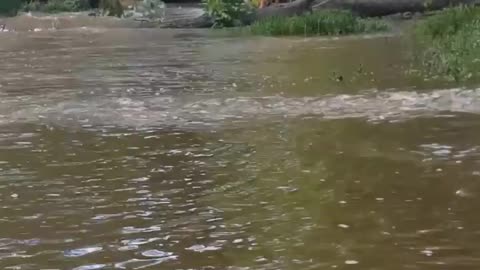 “When you say go left and she,