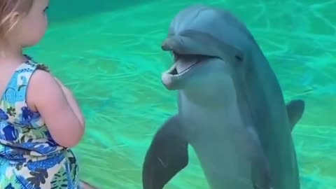 Dolphin approaches a little girl 😍