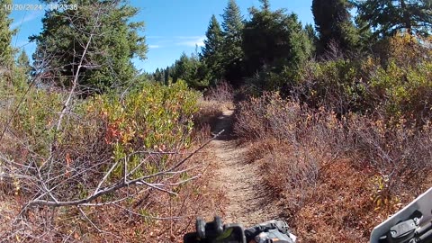 10-20-24 Idaho City Hungarian Ridge trail great views