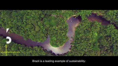 Brazilian Amazons