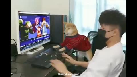 Cute dog playing video game😂