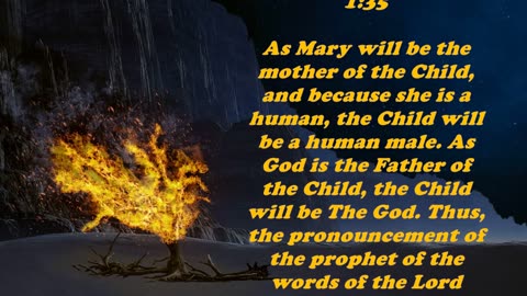 The Book of Matthew 1:23 - Daily Bible Verse Commentary