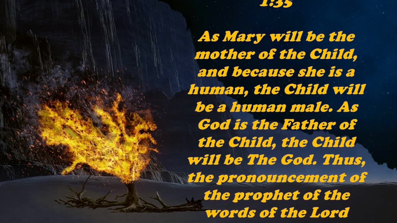 The Book of Matthew 1:23 - Daily Bible Verse Commentary