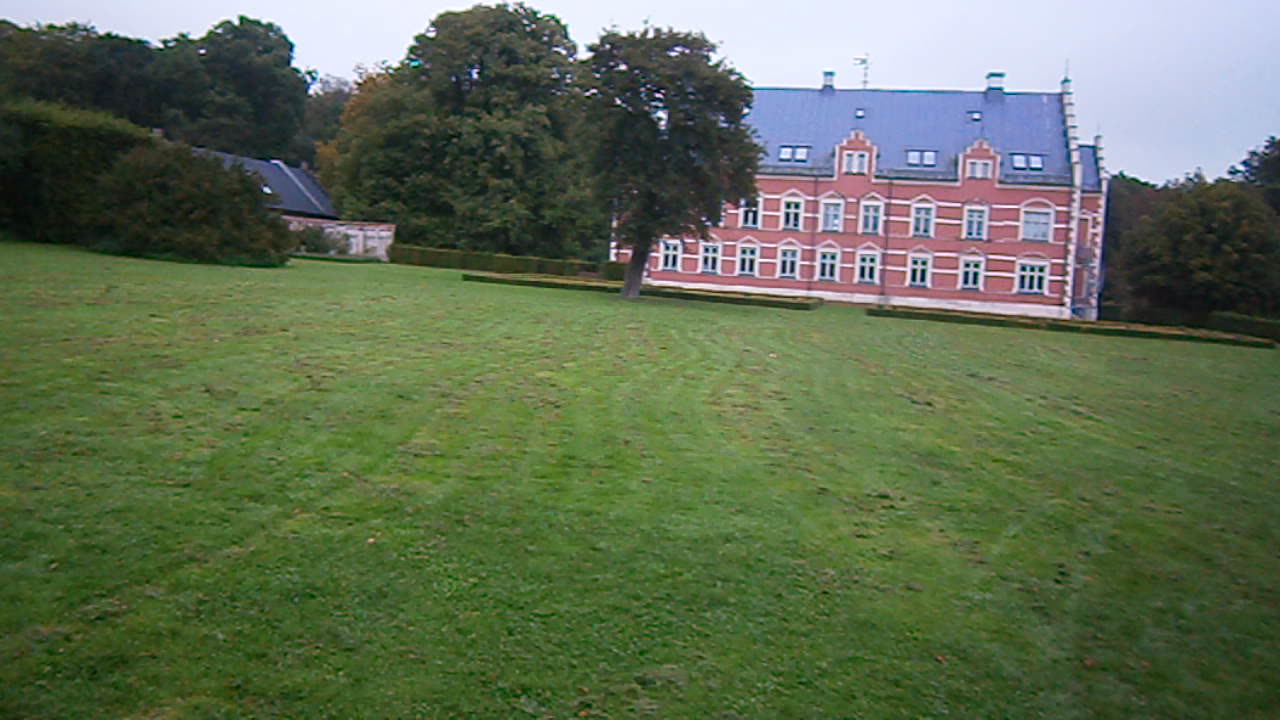 Kvällspromenad i Avenbokallén vid Pålsjö slott, Helsingborg 4 Sept. 2013