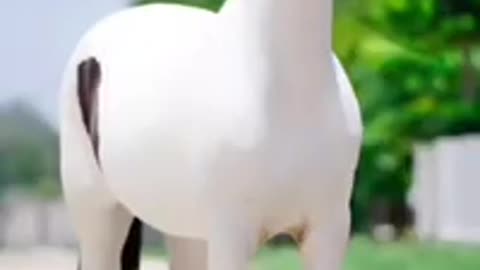 Horse 🐎 🎠