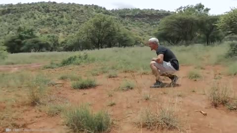 Animals Reunited With Owners After Years !