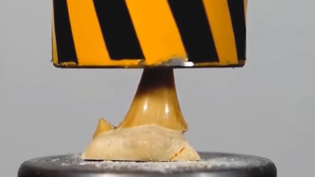 Wolf vs Shark vs Human Tooth experiment shocking results