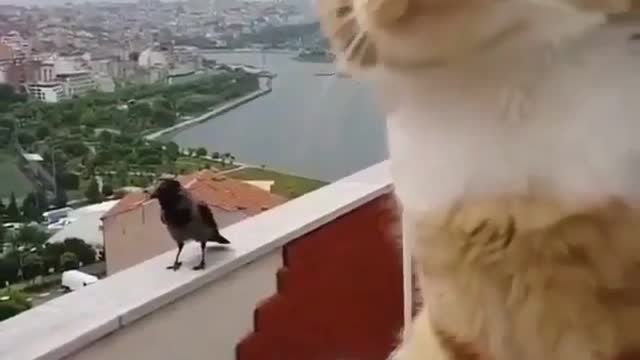 What are they talkingš¹