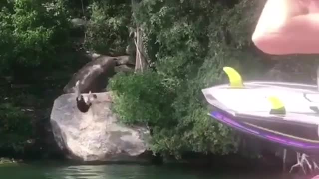 Guy black shorts rope swing lands on back