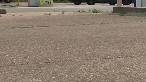 Being watched and stalked in The USA