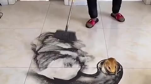 Amazing rangoli