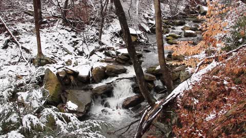 In The Stream at Buttermilk Falls Homewood Pa