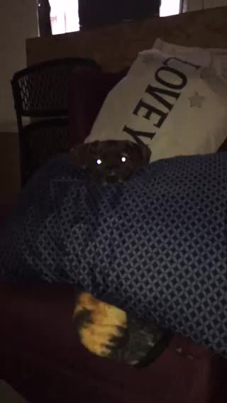 She love her daddy pillow