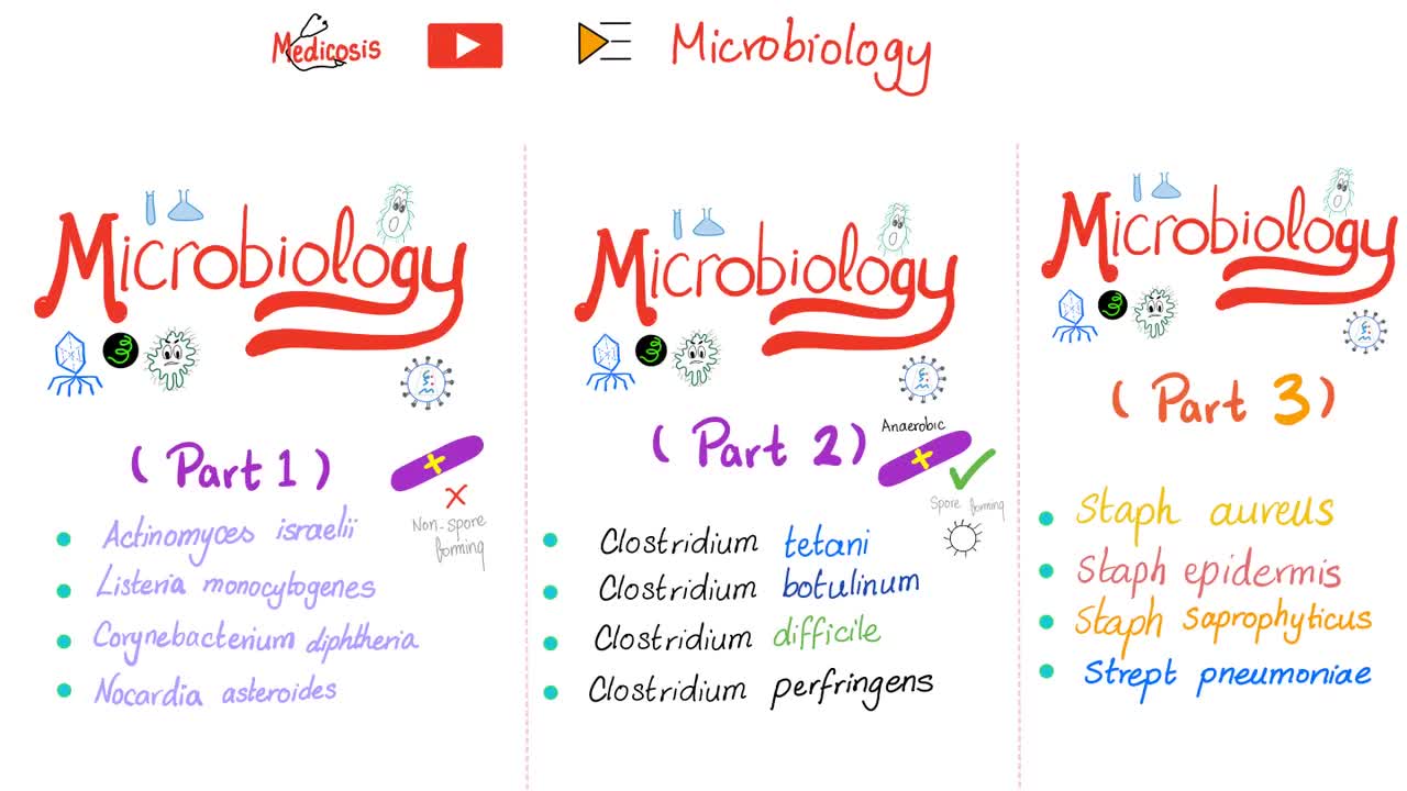 Sputum Culture and Sensitivity | Sputum Analysis for Lung Infections | Microbiology Labs