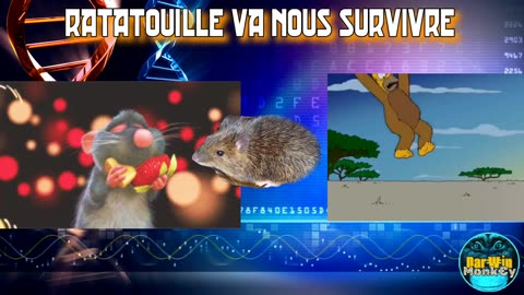 Le Chromosome Y est entrain de disparaître.