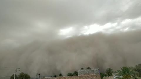 You see, walnuts darken the soil everywhere like the night with strong winds. My God is scary.