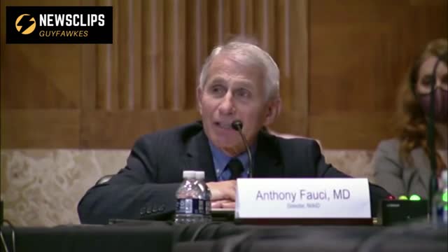 Senator John Kennedy To Dr Anthony Fauci 'Did We Do The Right Thing In Shutting Down Society'