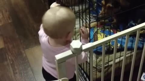 Funny baby climbing over a gate compilations