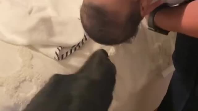 Dad shows his hilarious secret to a perfect comb-over