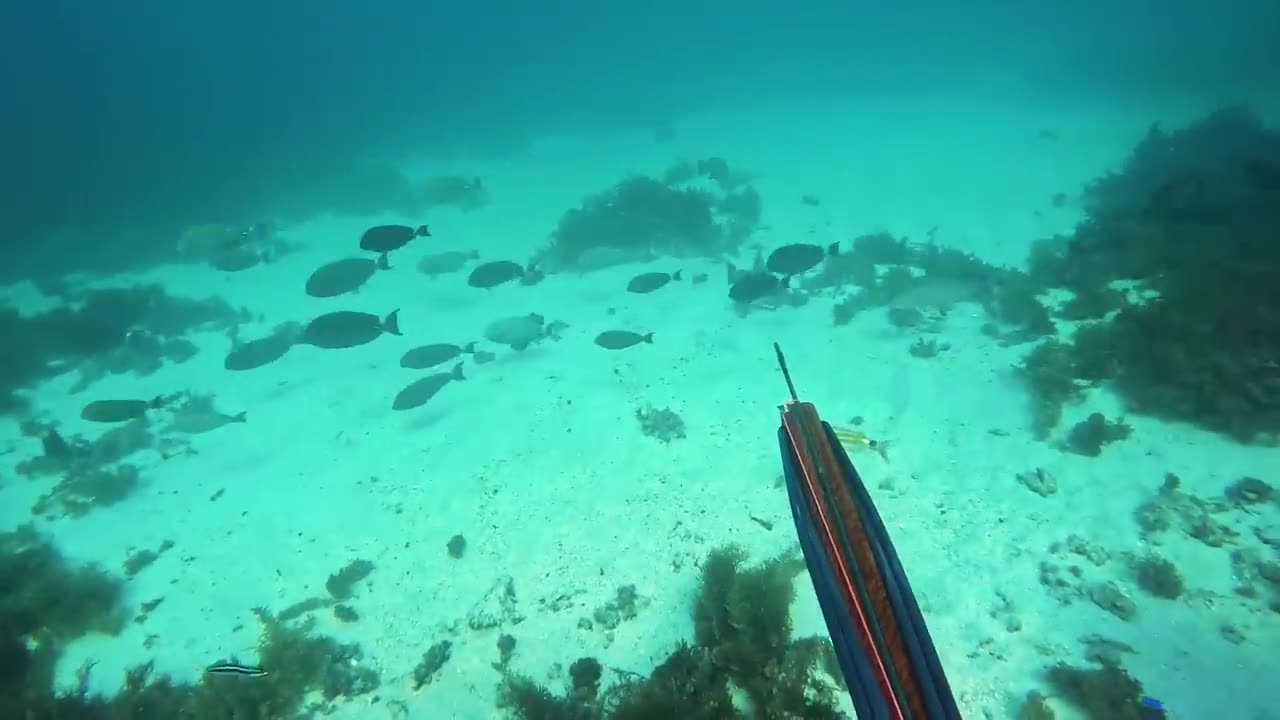 Boat Camping With My Girlfriend (Catch And Cook)