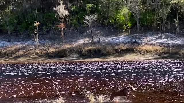 I Want To Play In The Sunshine