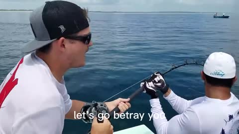 lure predatory migratory fish