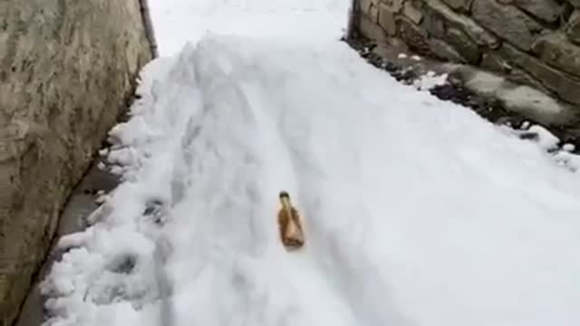 Mountain beer delivery