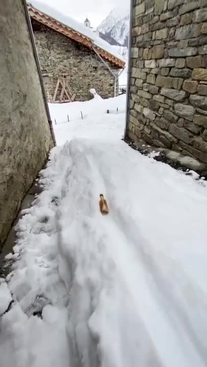 Mountain beer delivery