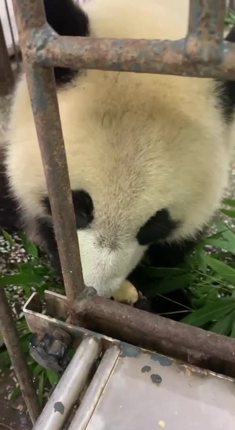 Birthday girl gets special treats 😍😊