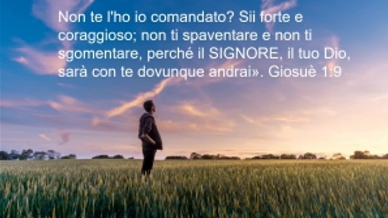 Tieni Viva La Tua Fiamma. Ho Fratello No! Tu Non Devi Rinunciare.