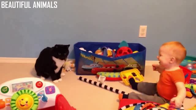 Babies playing with Cats Together, very Funny Pets Videos. Part -III.