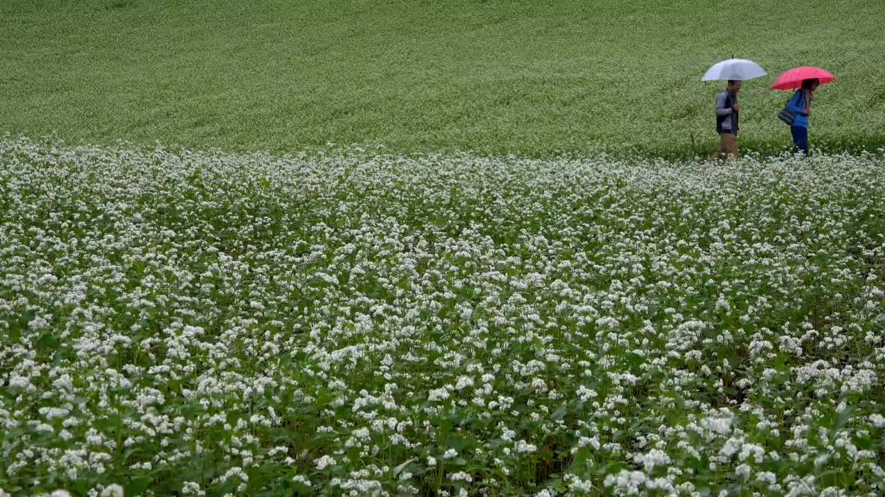 It’s harvest time again