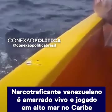 Sinaloa e Jalisco Chegam no Brasil.