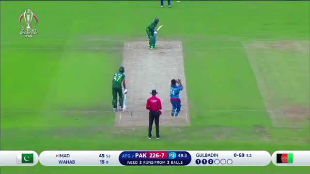 cricket fans-video cricket lovers-video #cricket #cricketlover