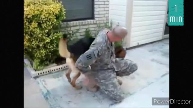 Dog gets so excited to see his owner that forgets how to bark properly!